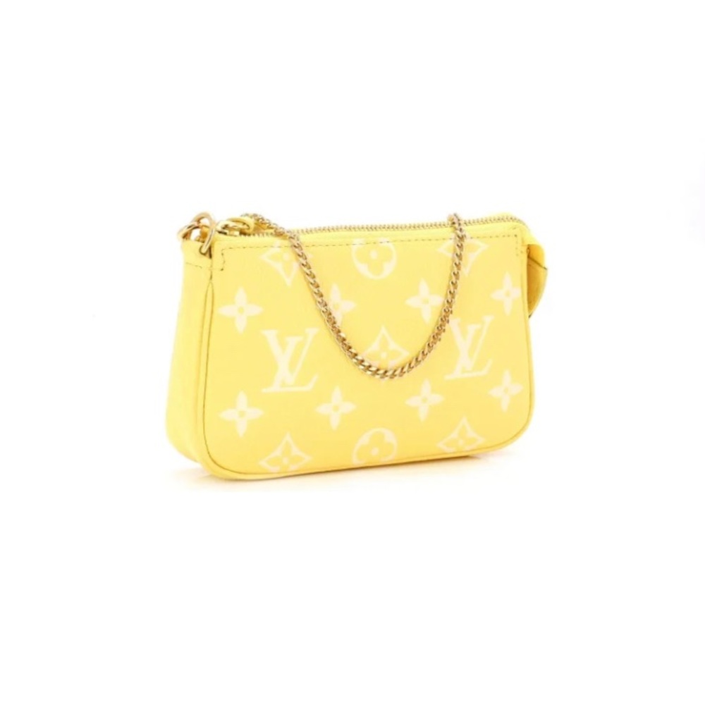 Louis Vuitton mini pochette like new in box , Sold out online